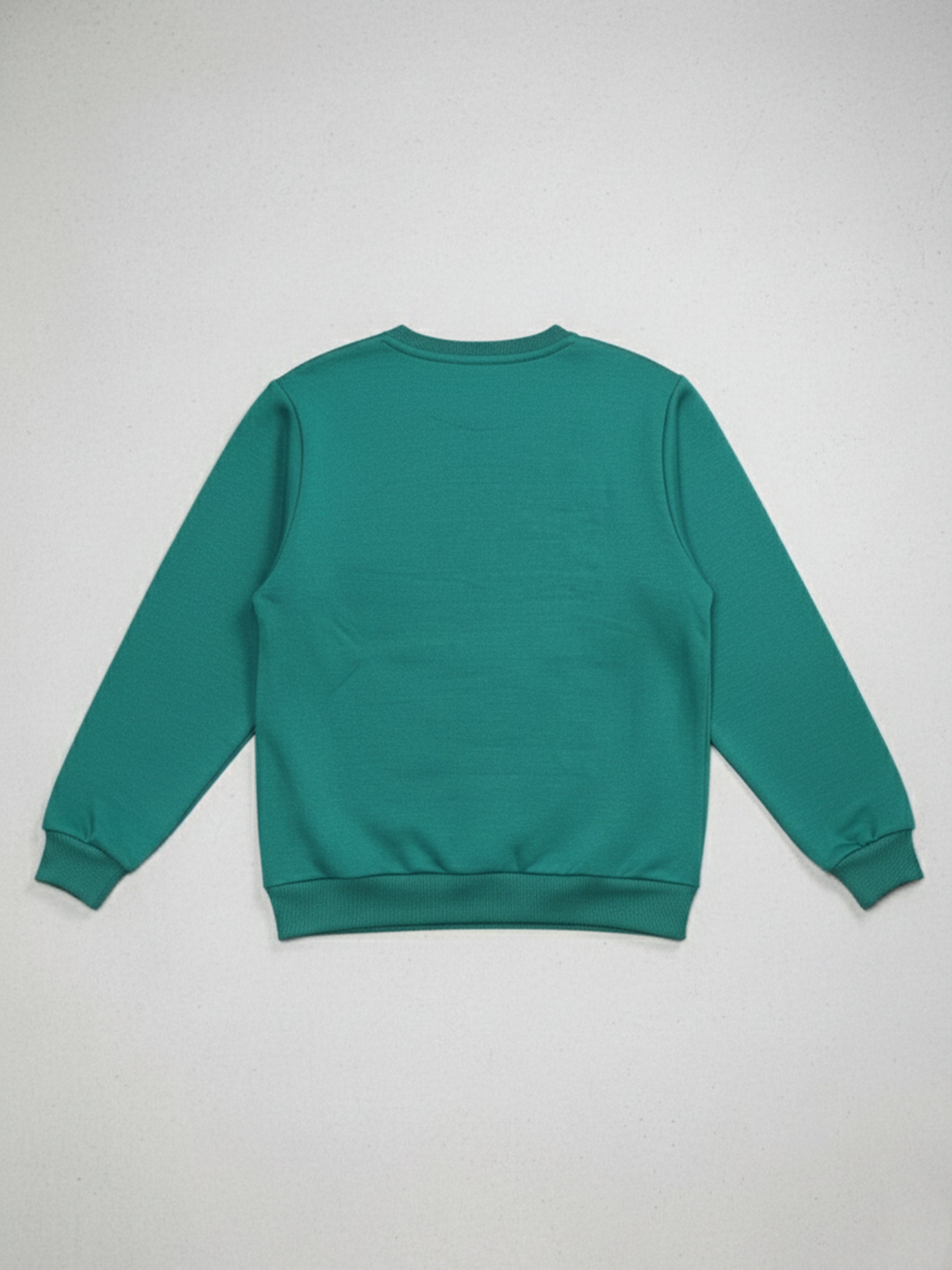 Highlander Men Green Round Neck Pullover Sweatshirt - Green - Image 5