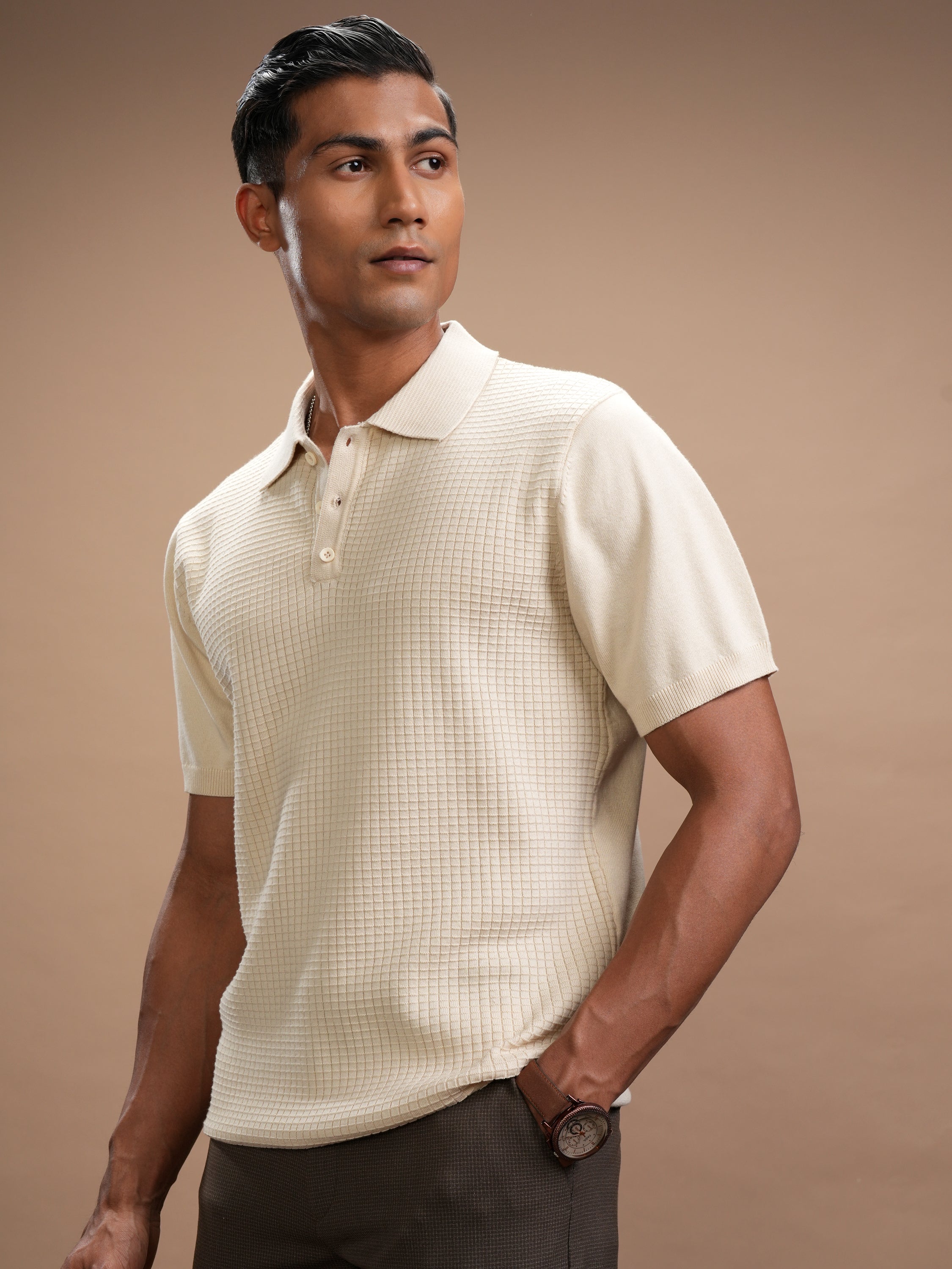 Highlander Men Beige Self Design Polo Collar Regular Fit T-Shirt - Beige - Image 4