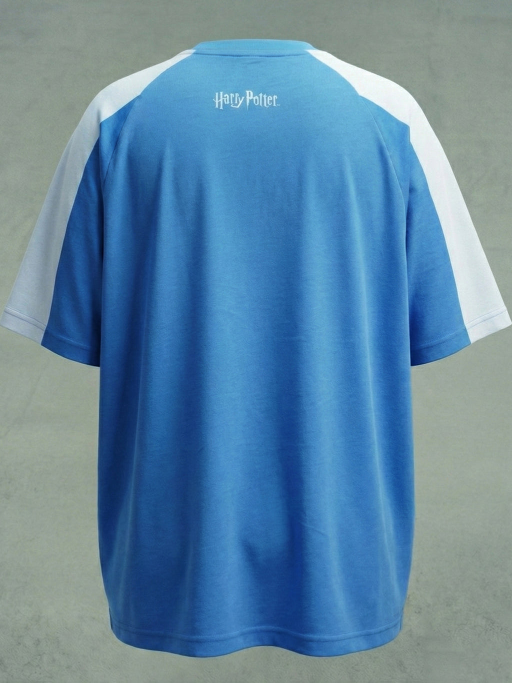 WB By Highlander Men Blue Harry Potter Printed Round Neck T-Shirt - Blue - Image 2
