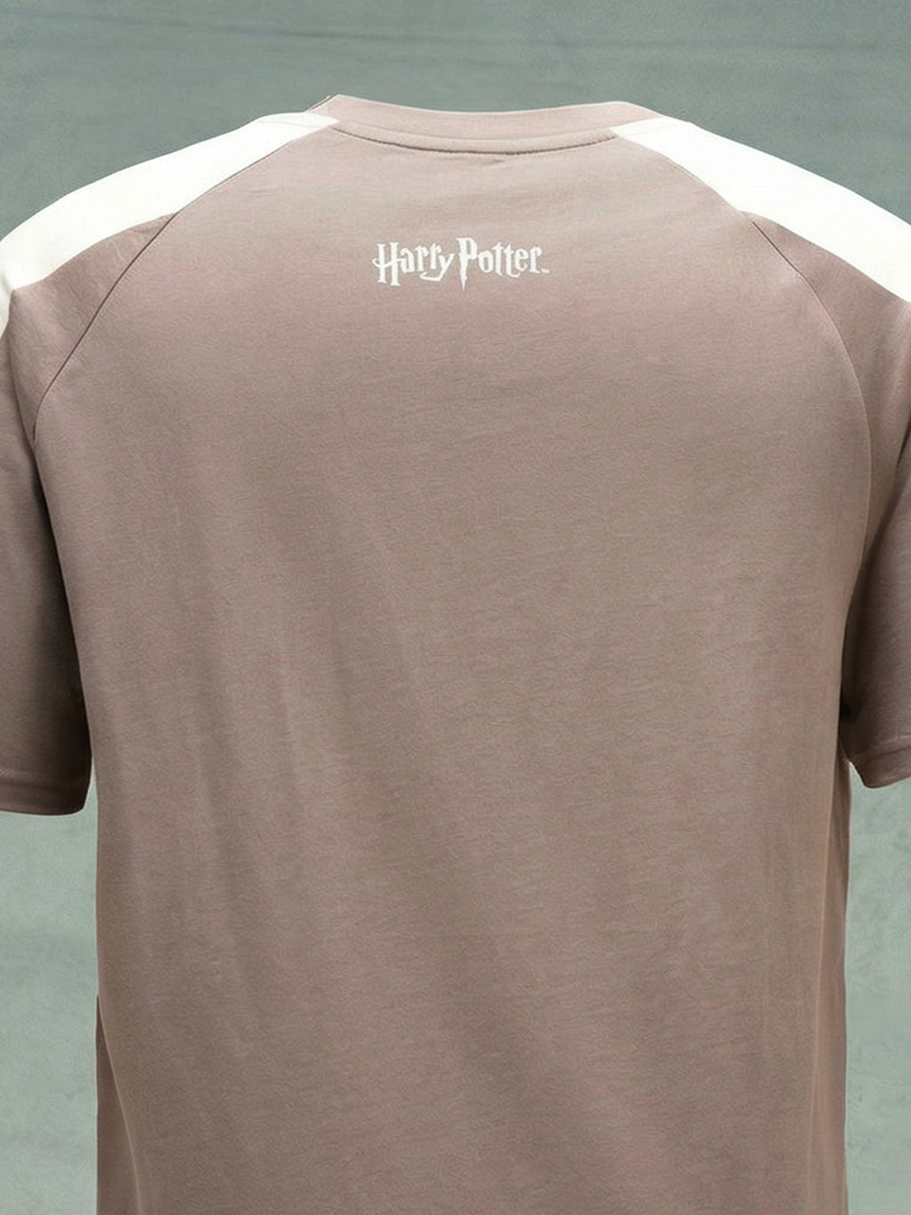 WB By Highlander Men Taupe Harry Potter Printed Round Neck T-Shirt - Taupe - Image 2
