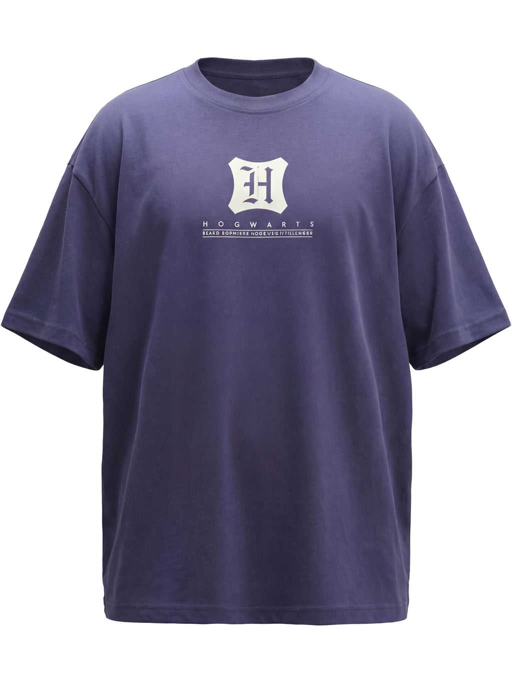 WB By Highlander Men Blue Harry Potter Printed Round Neck T-Shirt - Blue - Image 2