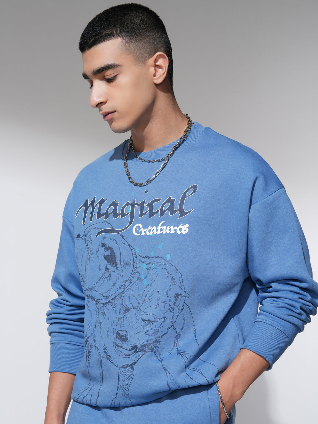 WB By Highlander Men Blue Harry Potter Round Neck Pullover Sweatshirt - Blue - Image 4