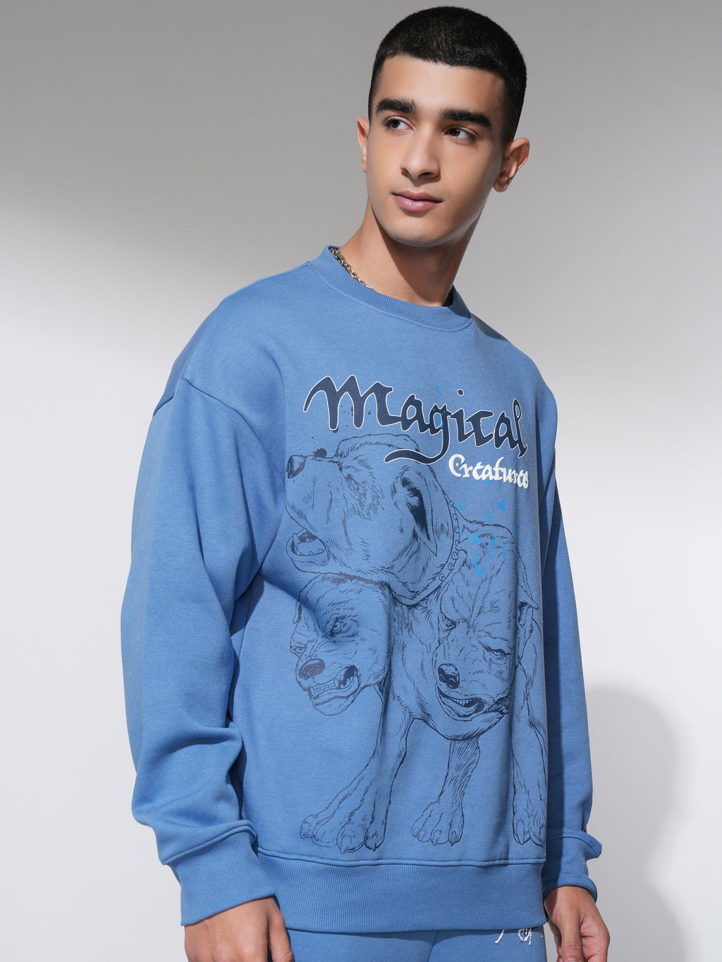 WB By Highlander Men Blue Harry Potter Round Neck Pullover Sweatshirt - Blue - Image 6