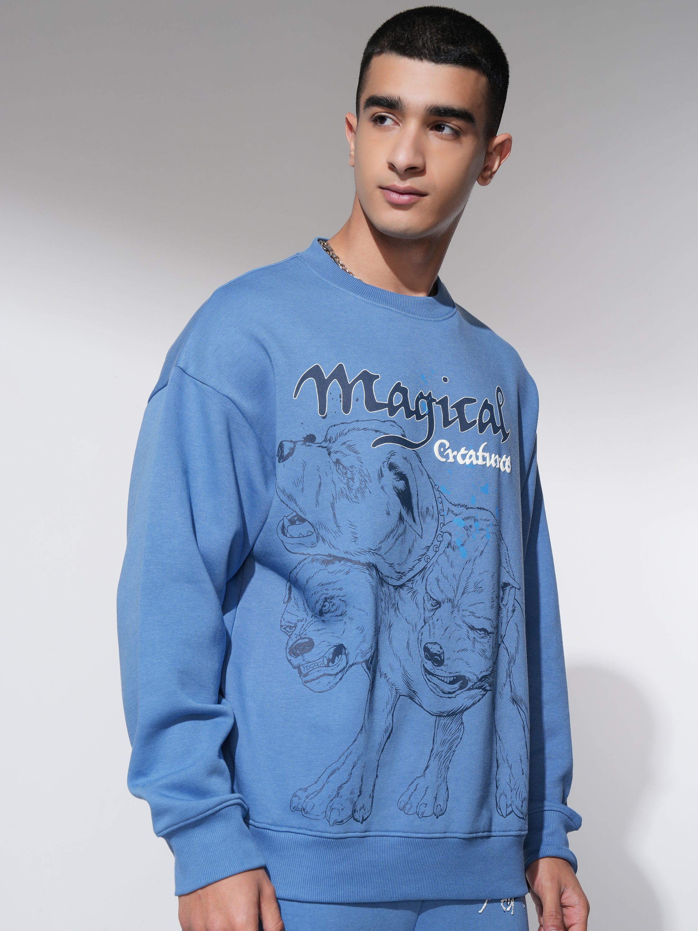 WB By Highlander Men Blue Harry Potter Round Neck Pullover Sweatshirt - Blue - Image 6