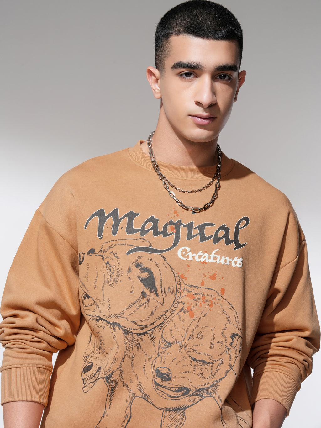 WB By Highlander Men Brown Harry Potter Round Neck Pullover Sweatshirt - Brown - Image 1