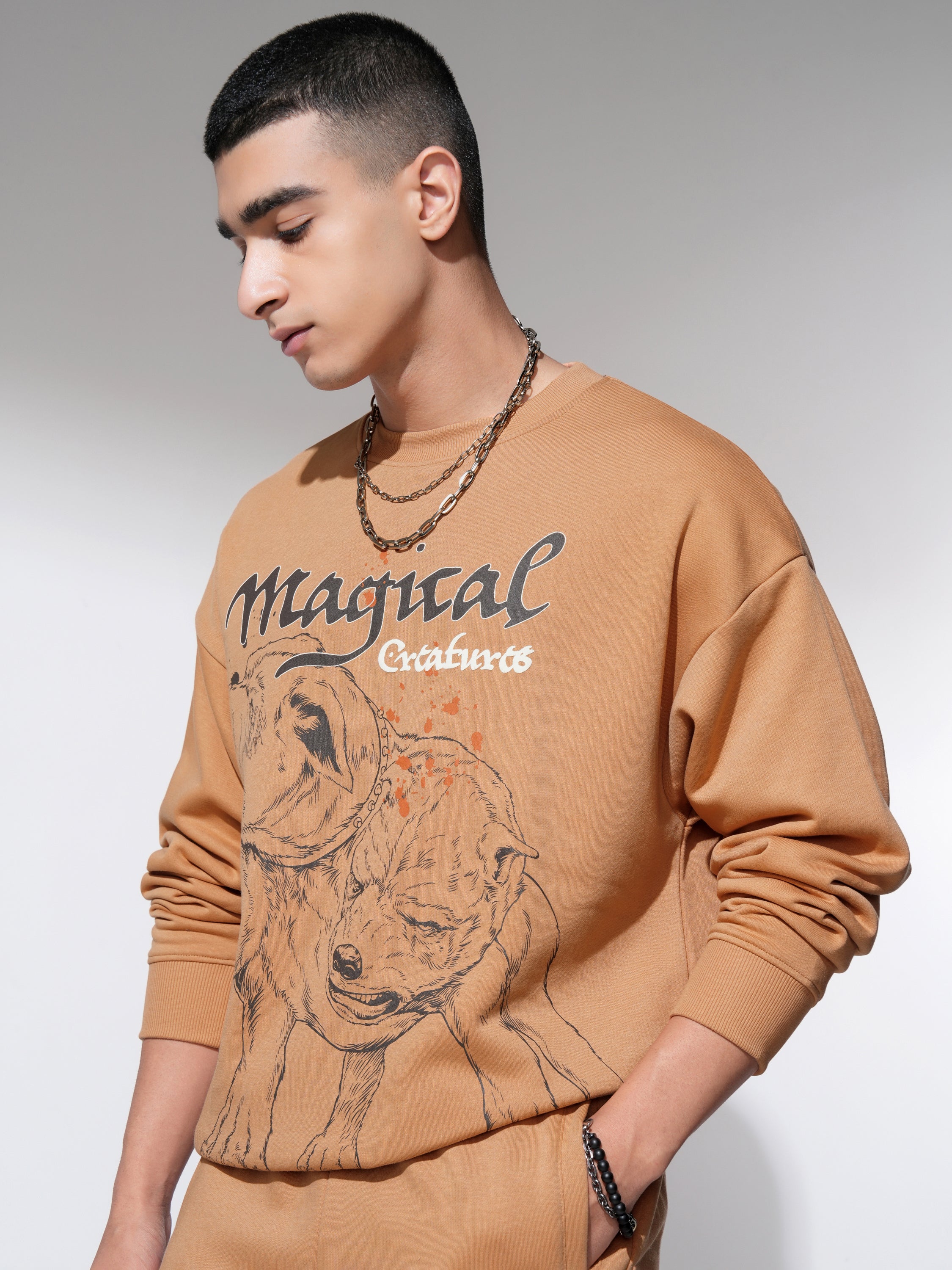 WB By Highlander Men Brown Harry Potter Round Neck Pullover Sweatshirt - Brown - Image 4