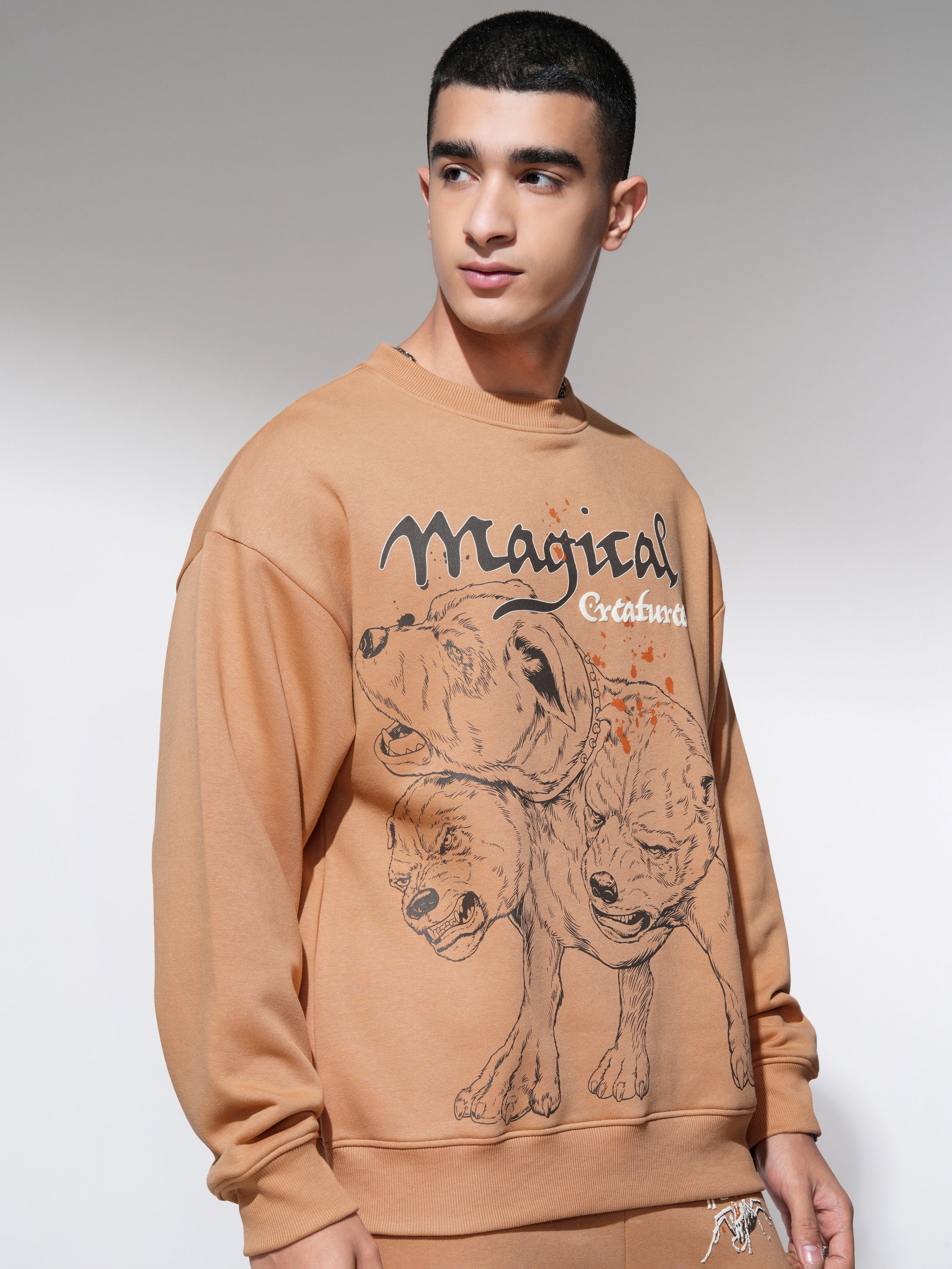 WB By Highlander Men Brown Harry Potter Round Neck Pullover Sweatshirt - Brown - Image 6